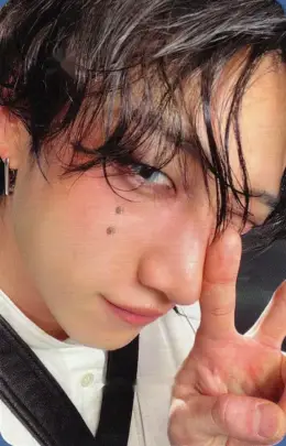 Bang Chan · KARMA