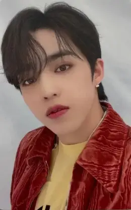 S.Coups · Not Alone