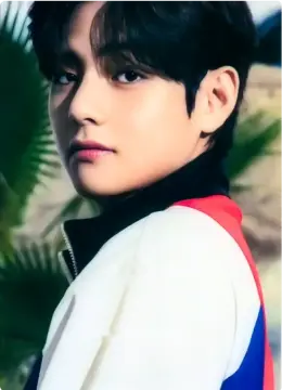 V · BTS, the Best