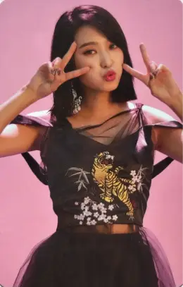 Bora · 没我爱 (Insane Love)