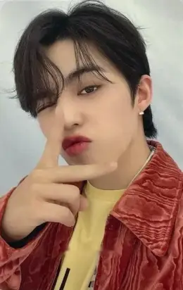 S.Coups · Not Alone