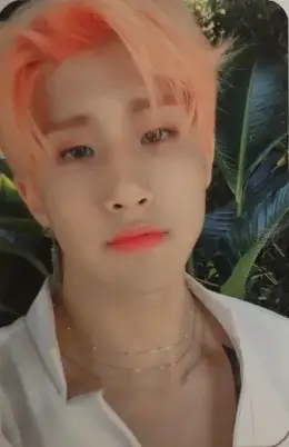 JinJin · All Light