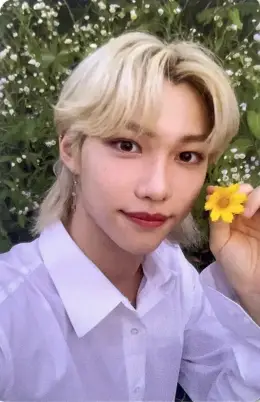 Felix · NOEASY