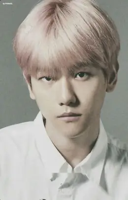 Baekhyun · BIRD