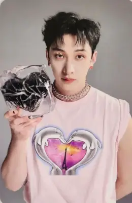 Bang Chan · MAXIDENT