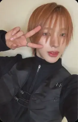 Tomoya · NALLINA