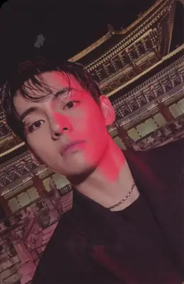 V · ARIRANG