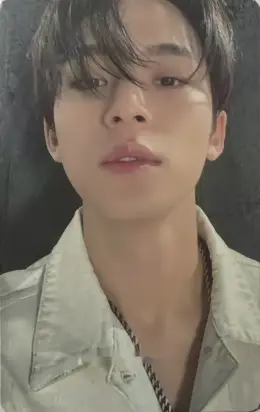 Mingyu · Face the Sun