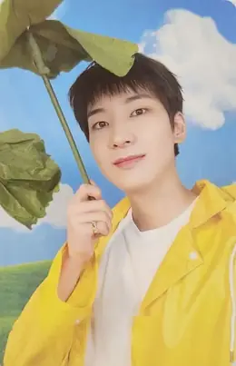 Wonwoo · Seventeenth Heaven