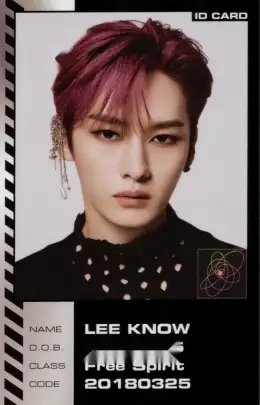 Lee Know · ODDINARY