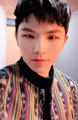 Woozi · You Made My Dawn