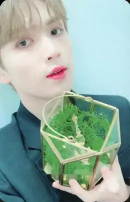 Gyujin · The Moment of Illusion