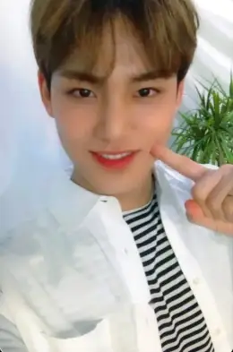 Mingyu · Happy Ending