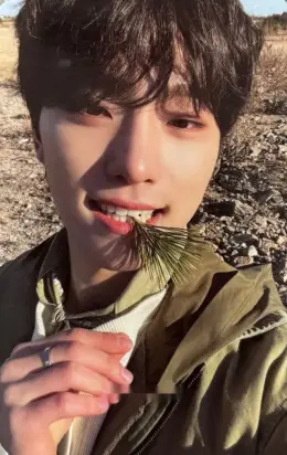 Dino · Face the Sun