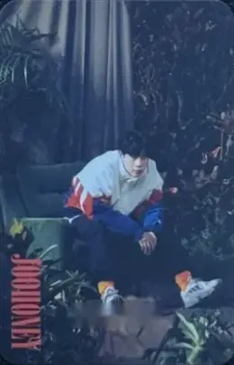 Joohoney · Alligator